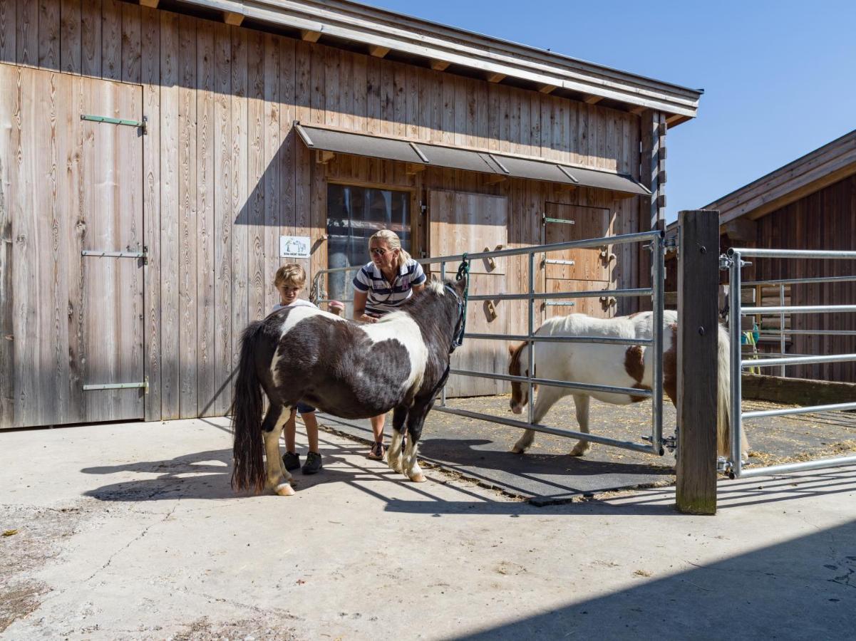 Narzenhof Wellness Chalets, Familien & Luxus Apartments Am Bauernhof Sankt Johann in Tirol Luaran gambar