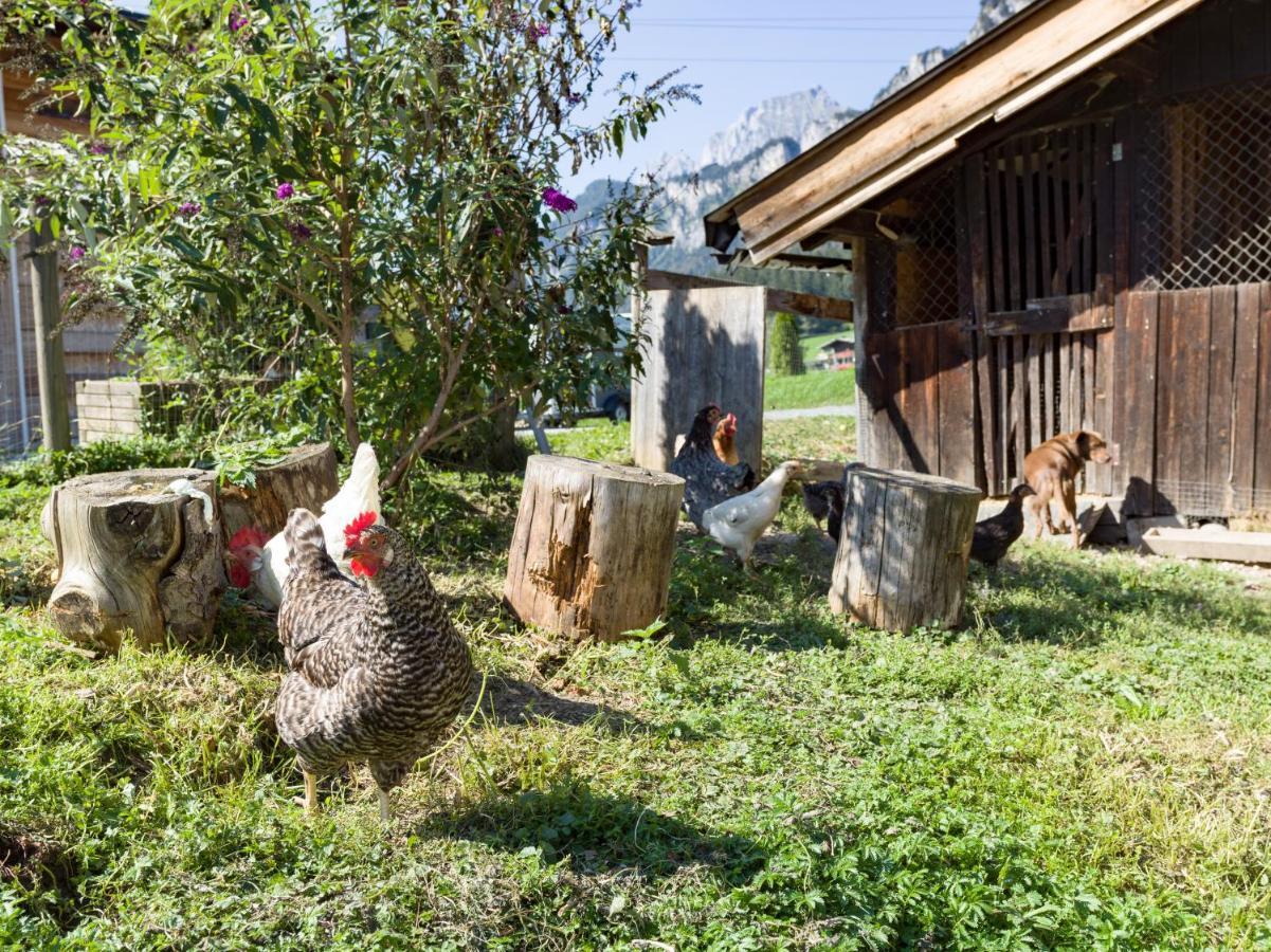 Narzenhof Wellness Chalets, Familien & Luxus Apartments Am Bauernhof Sankt Johann in Tirol Luaran gambar