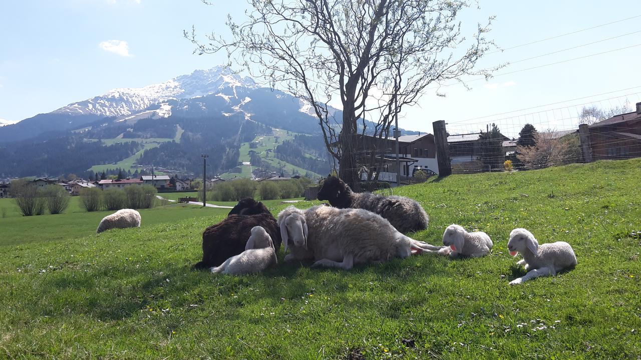 Narzenhof Wellness Chalets, Familien & Luxus Apartments Am Bauernhof Sankt Johann in Tirol Luaran gambar