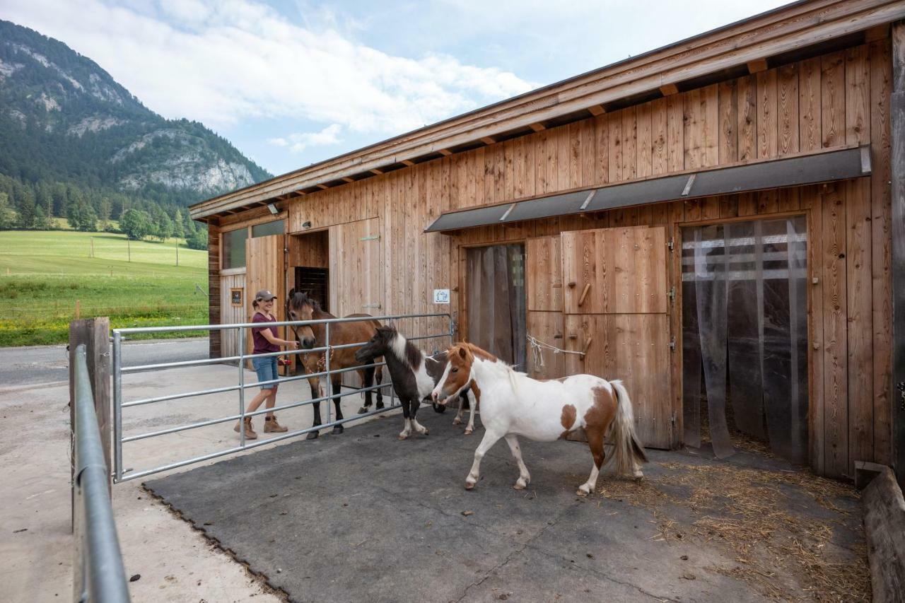 Narzenhof Wellness Chalets, Familien & Luxus Apartments Am Bauernhof Sankt Johann in Tirol Luaran gambar