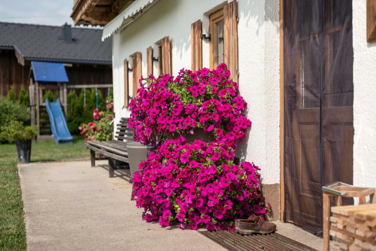 Narzenhof Wellness Chalets, Familien & Luxus Apartments Am Bauernhof Sankt Johann in Tirol Luaran gambar